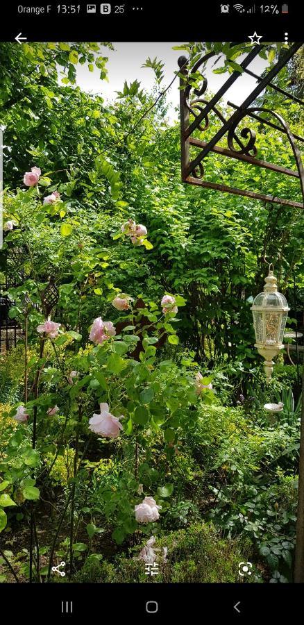 Chambres D'Hotes Jardin D'Ivoire Saint-Gervais-la-Forêt Zewnętrze zdjęcie
