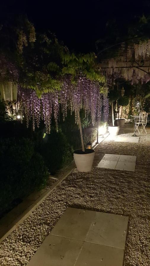 Chambres D'Hotes Jardin D'Ivoire Saint-Gervais-la-Forêt Zewnętrze zdjęcie